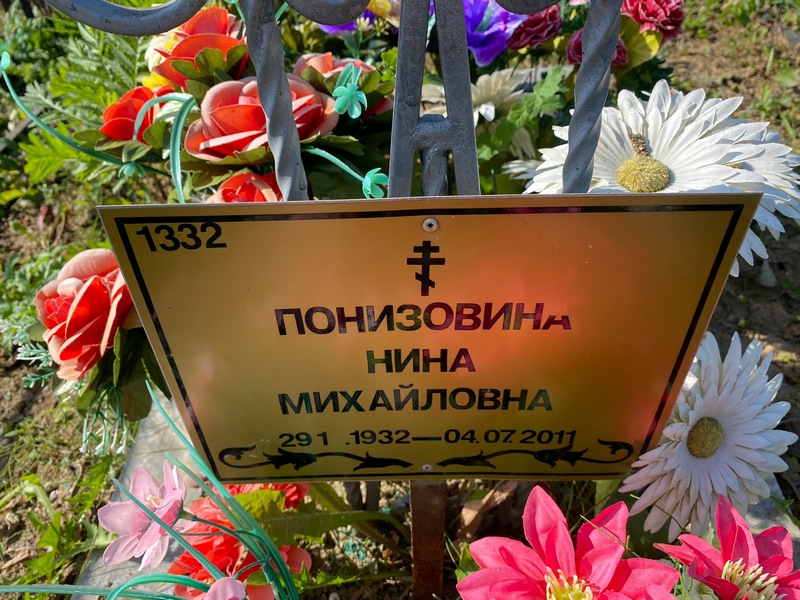 Понизовина