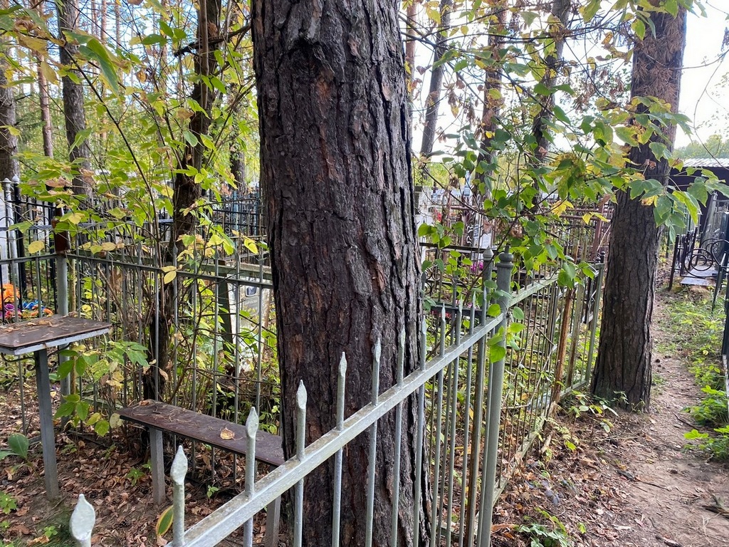 Зарубова Анна Порфирьевна