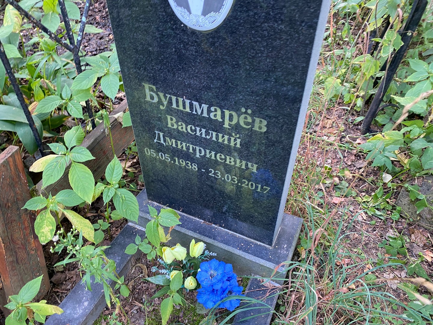 Бушмарев