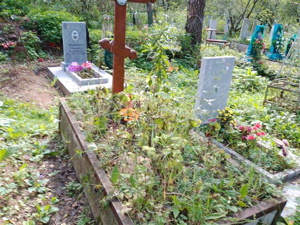 Кушкина Анна Сергеевна