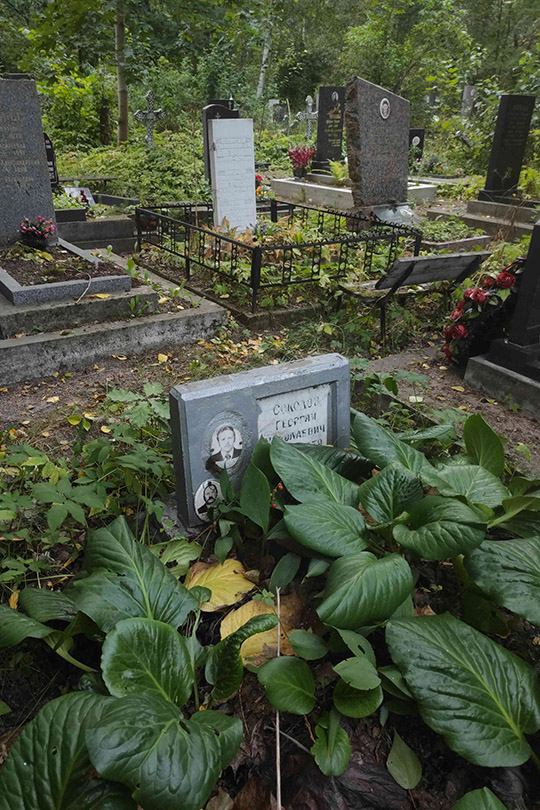 Соколов Георгий Николаевич