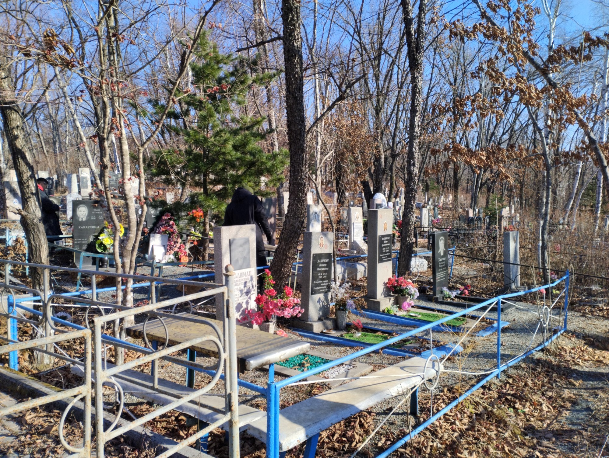Халиман Александр Петрович