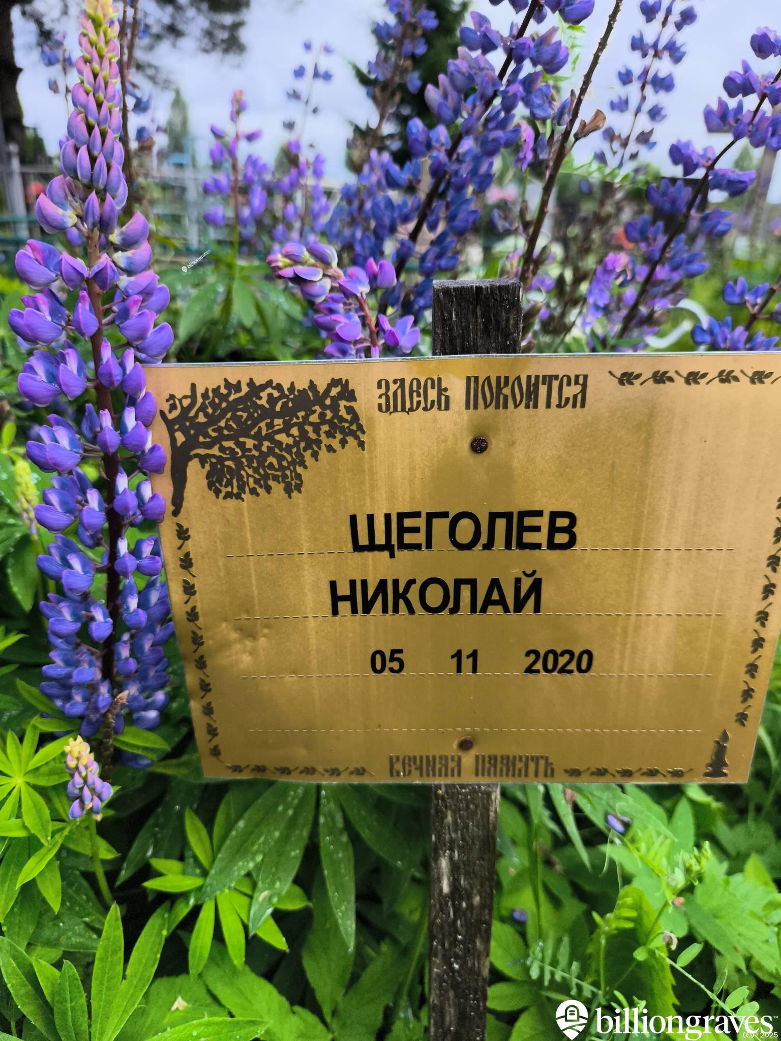 Щеголев Николай