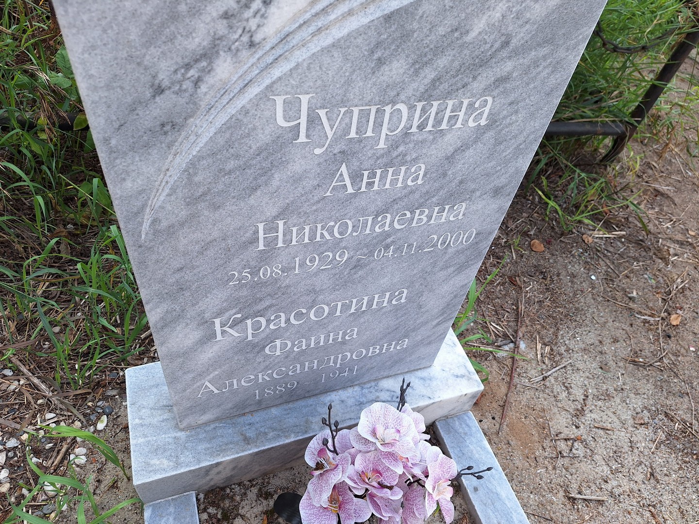 Чуприна