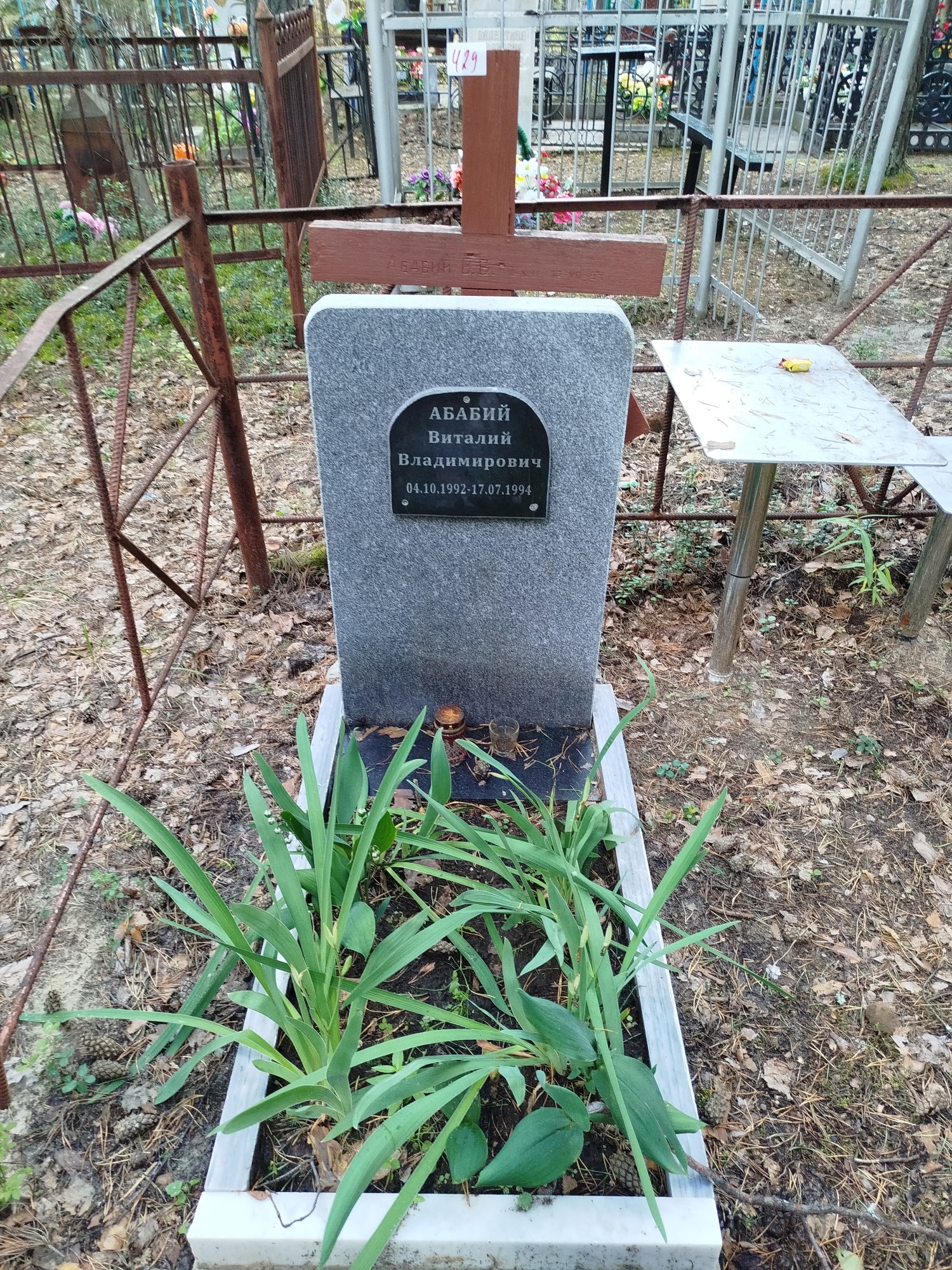 Абабий Виталий Владимирович