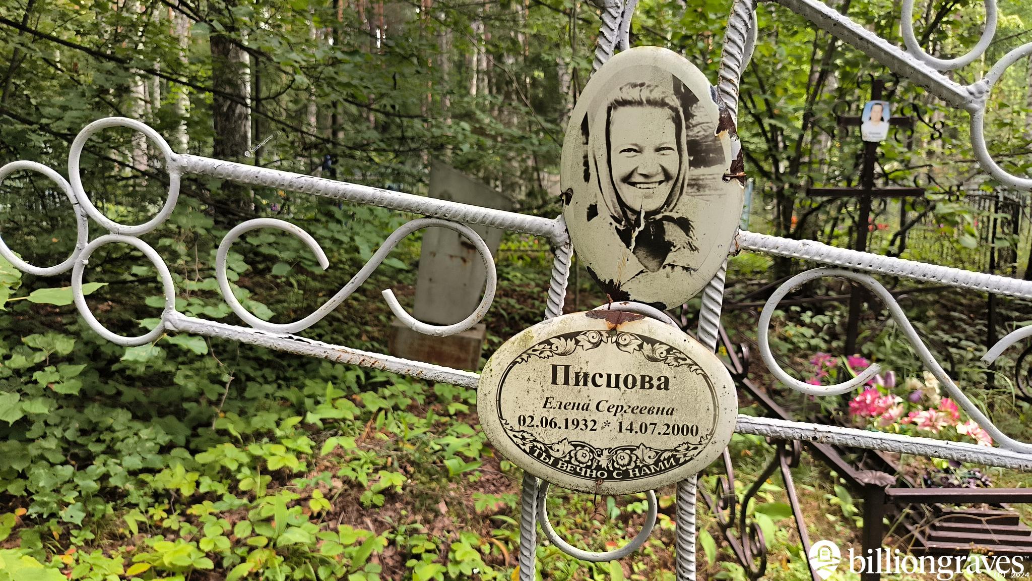 Писцова Елена Сергеевна
