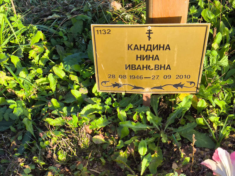 Кандина