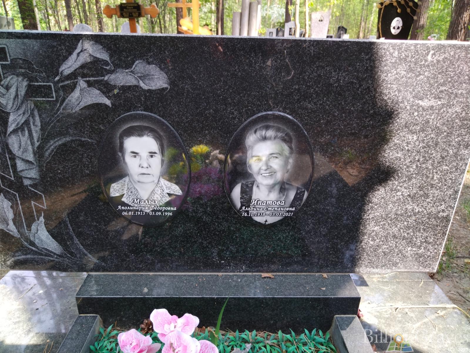 Ипатова Альбина Степановна