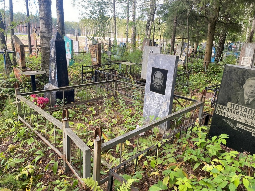 Голубятников Александр Степанович