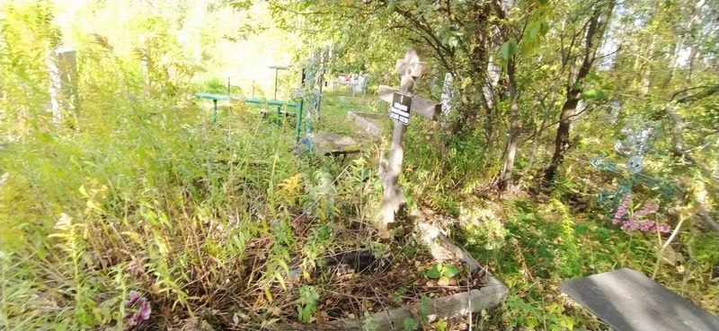 Курзанов Николай Васильевич