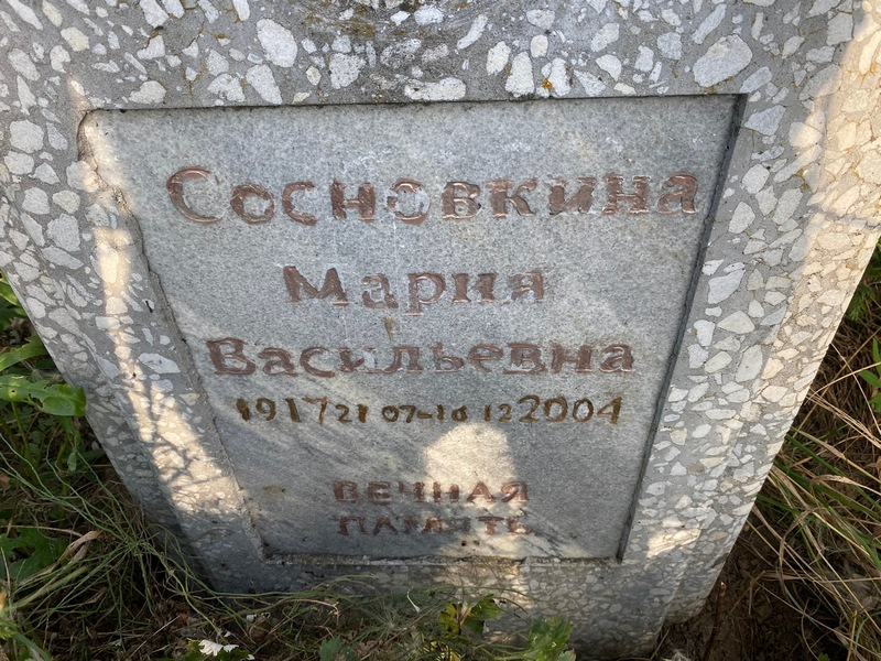 Сосновкина