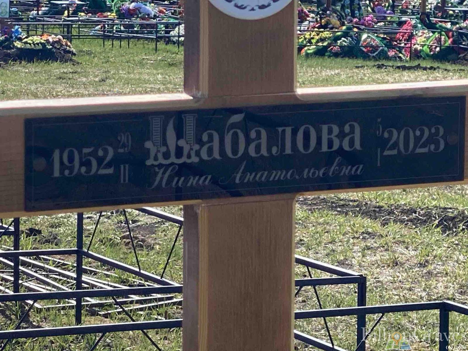 Шаболова Нина Анатольевна
