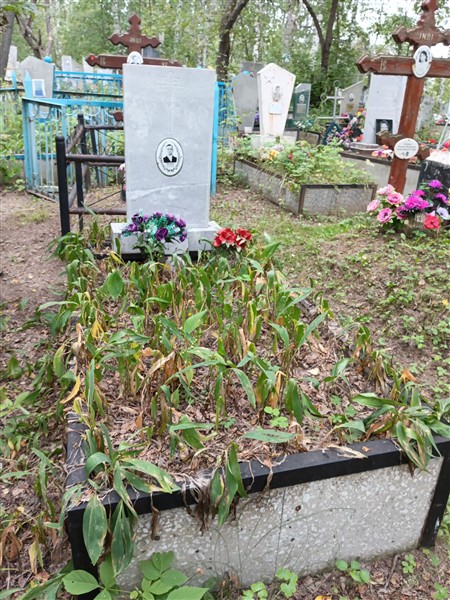 Михеев Виктор Иванович