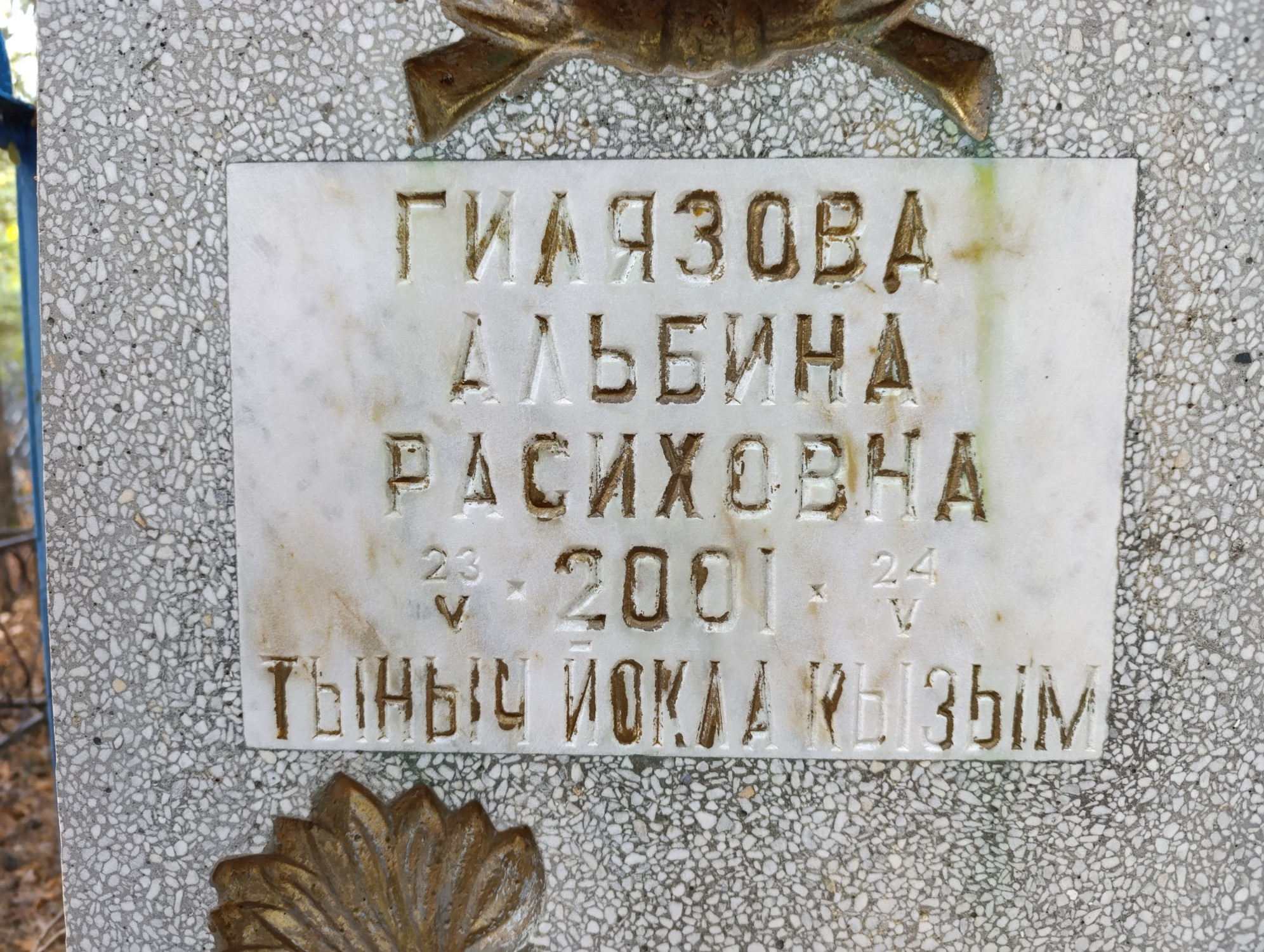 Гилязова Альбина Расиховна