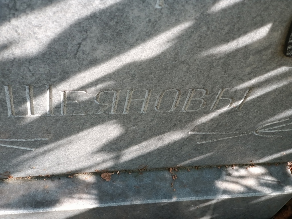Шеянова Ирина Вячеславовна