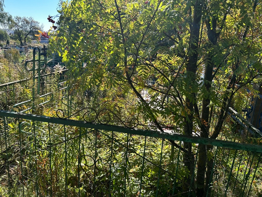 Крутова Вера Михайловна