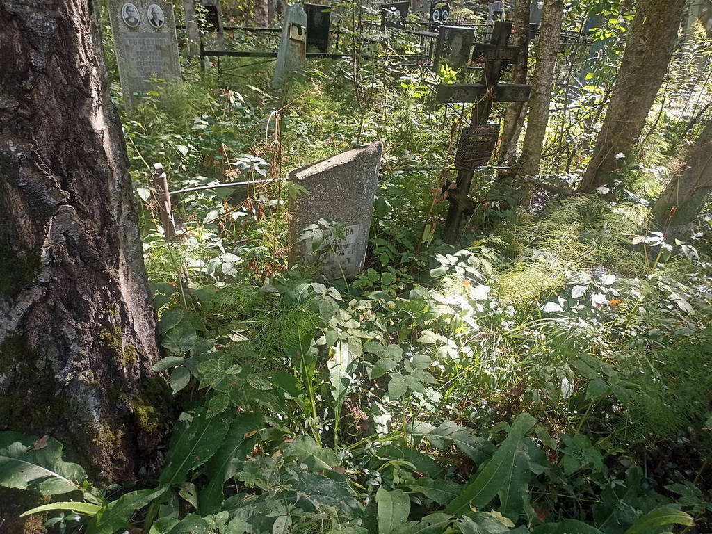 Кирильцева Мария Михайловна