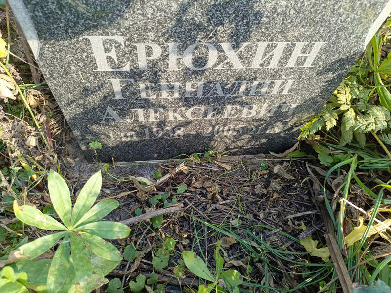 Ерохин