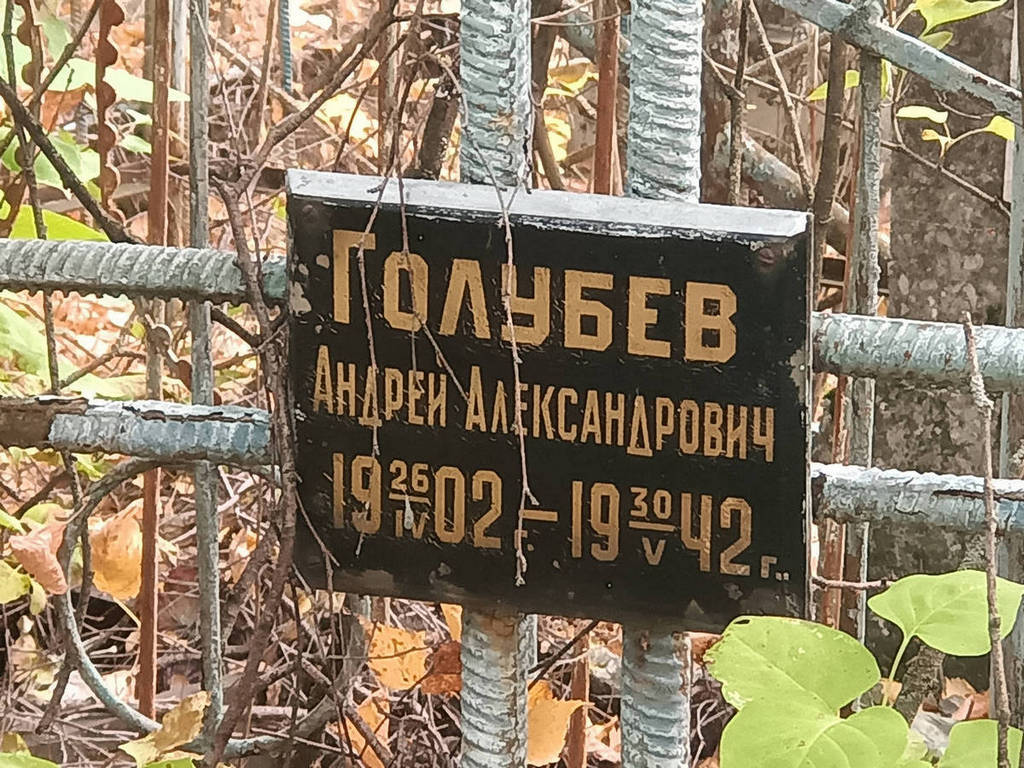 Голубев Андрей Александрович
