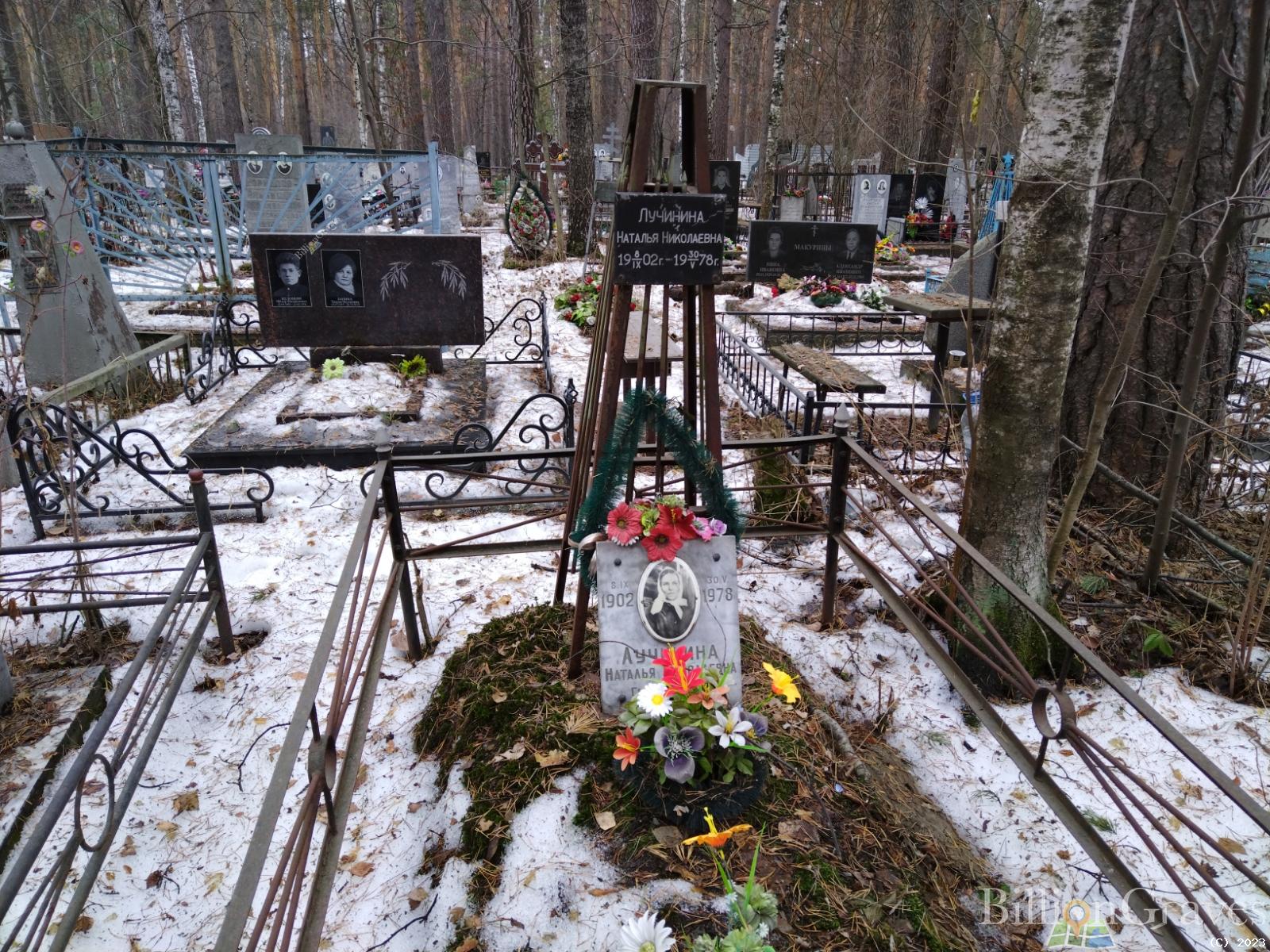 Лучнина Наталья Николаевна