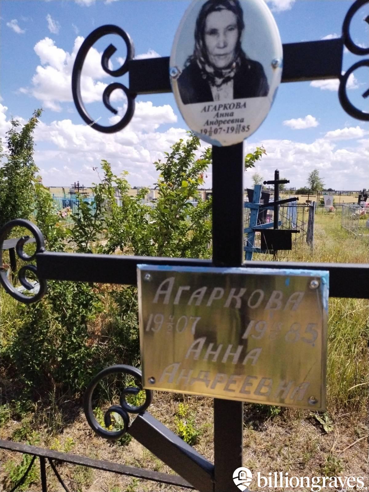 Агаркова Анна Андреевна