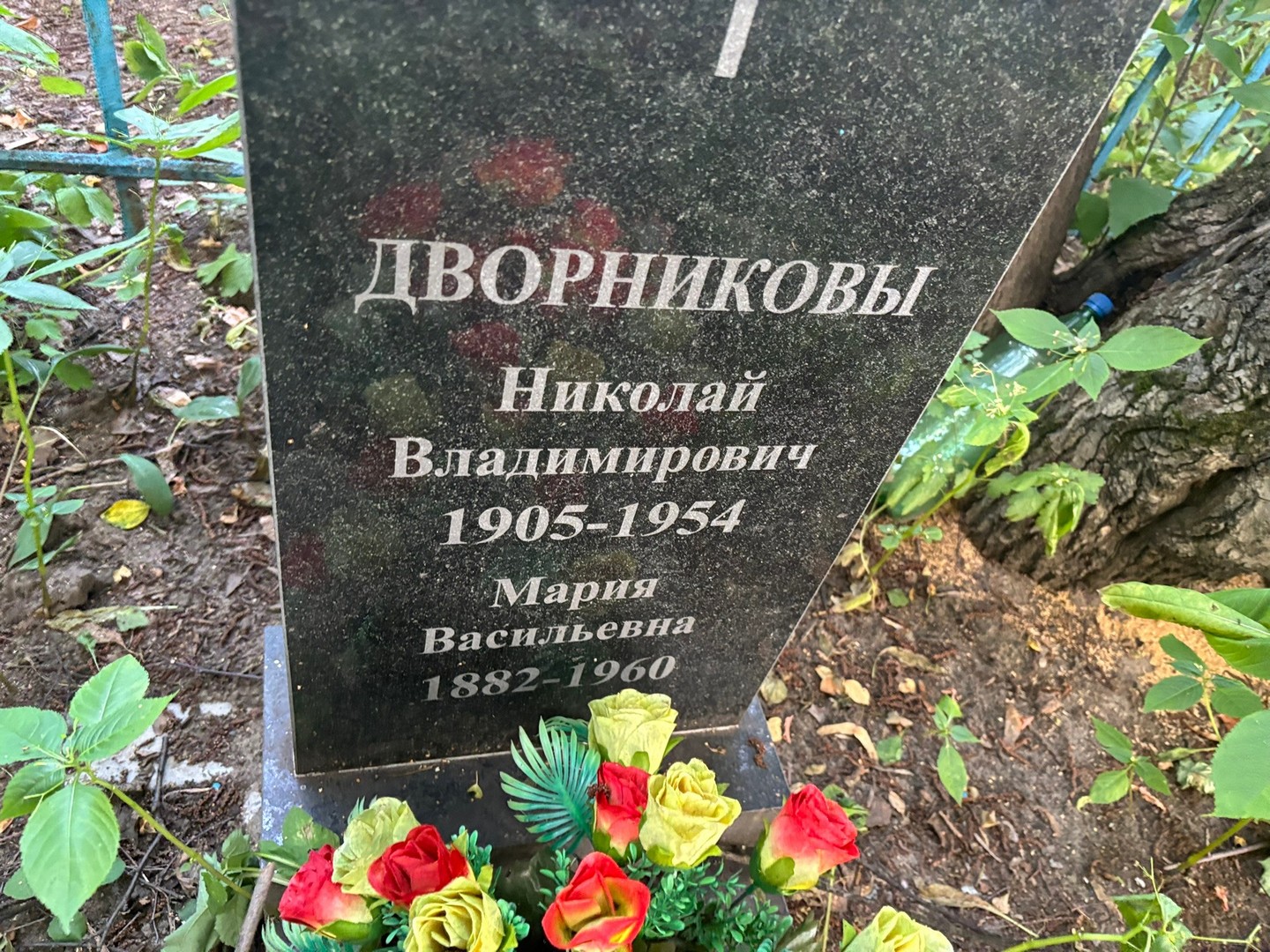 Дворников