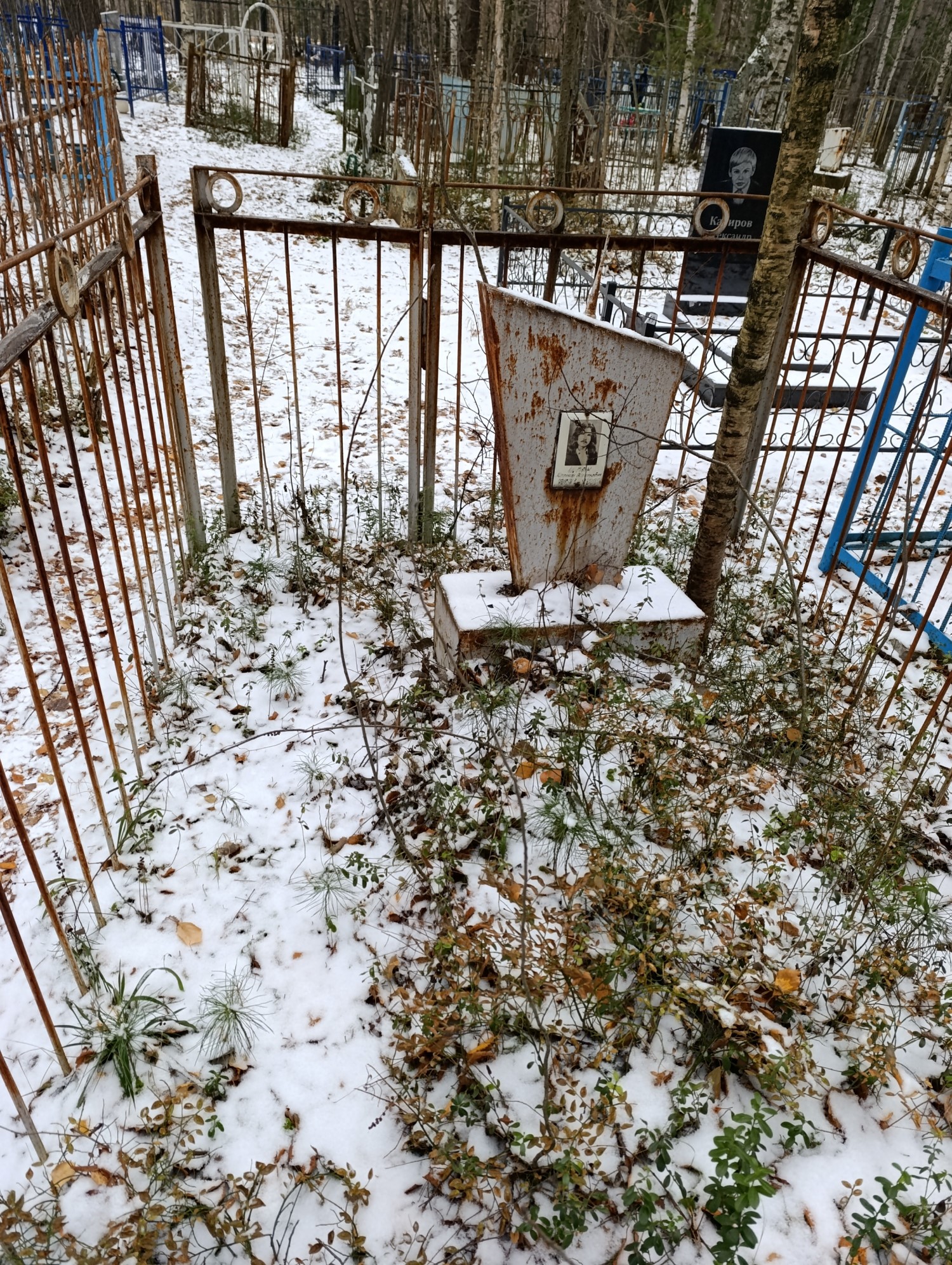 Шпак Леонид Васильевич
