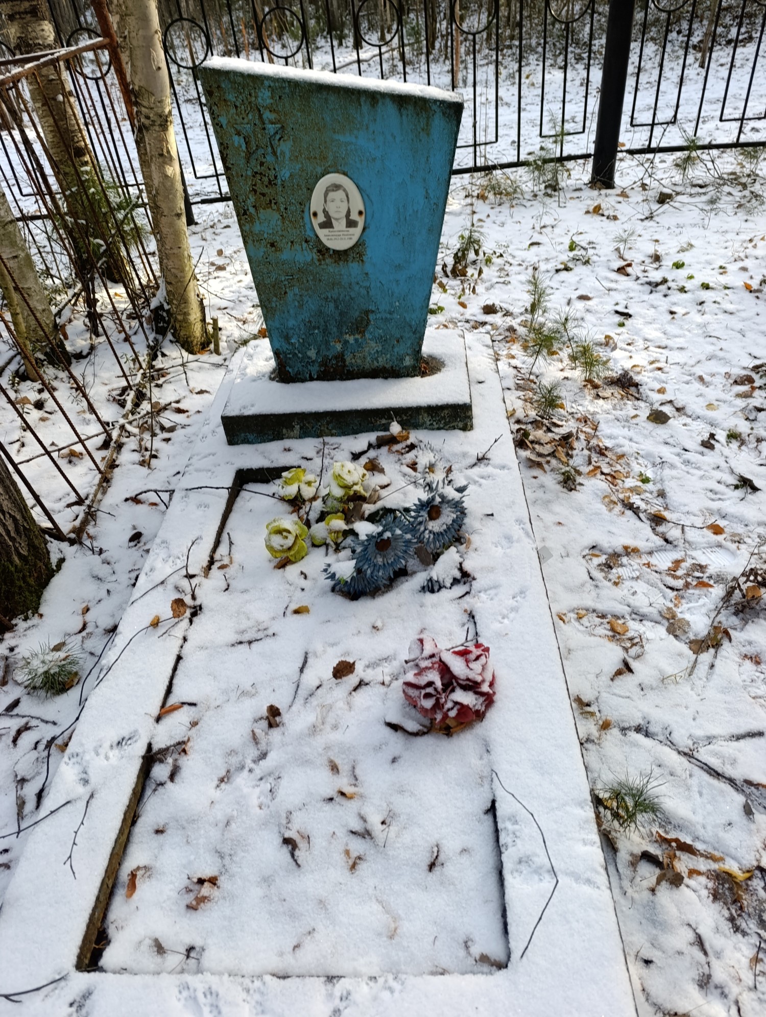 Крашенникова Апполинария Ивановна