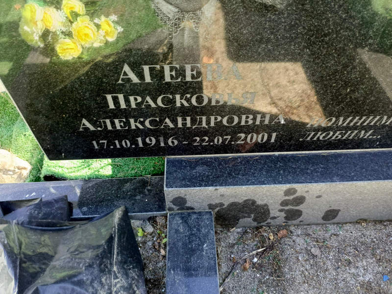 Агеева Прасковья Александровна