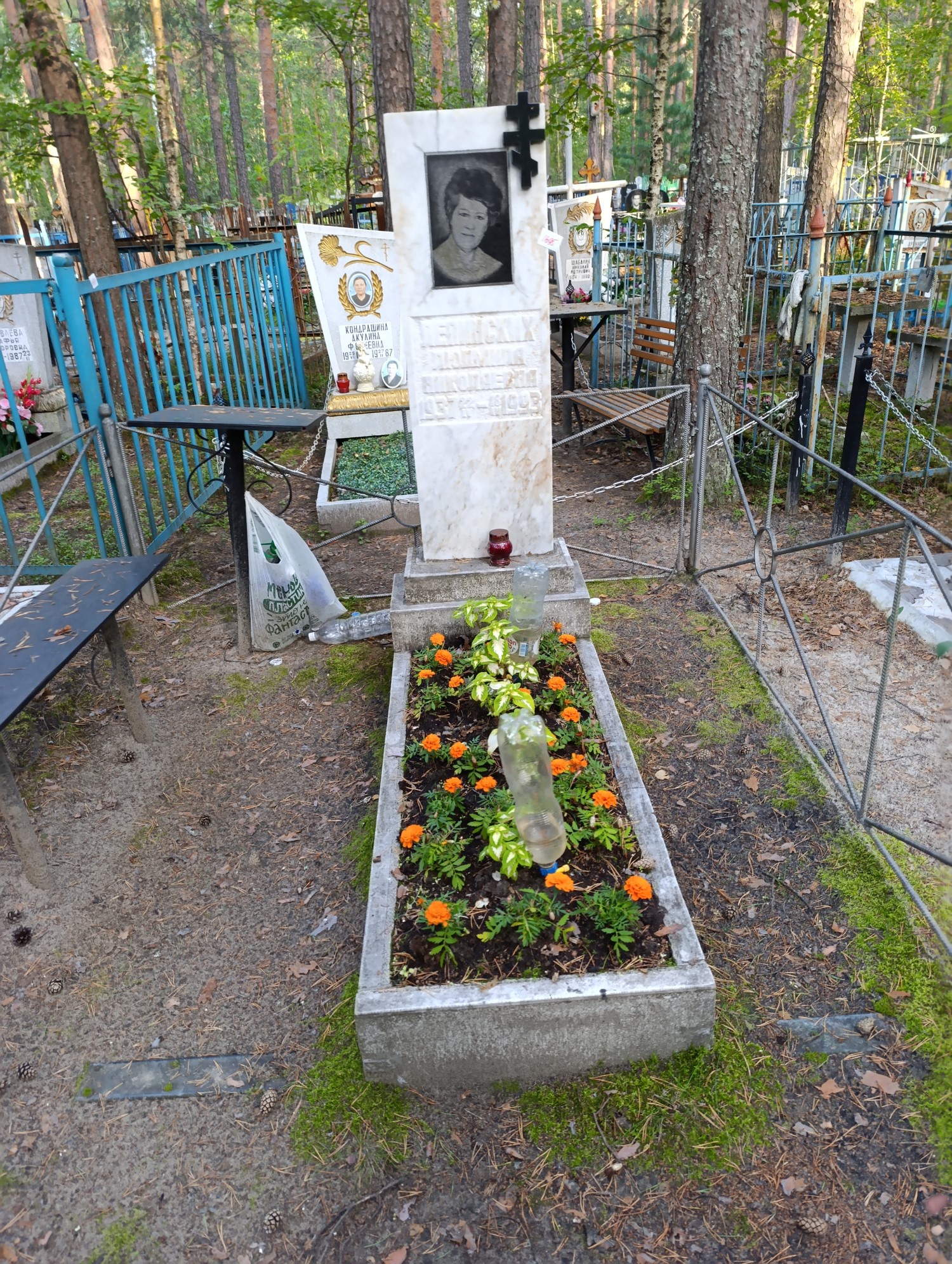 Лепинских Людмила Николаевна