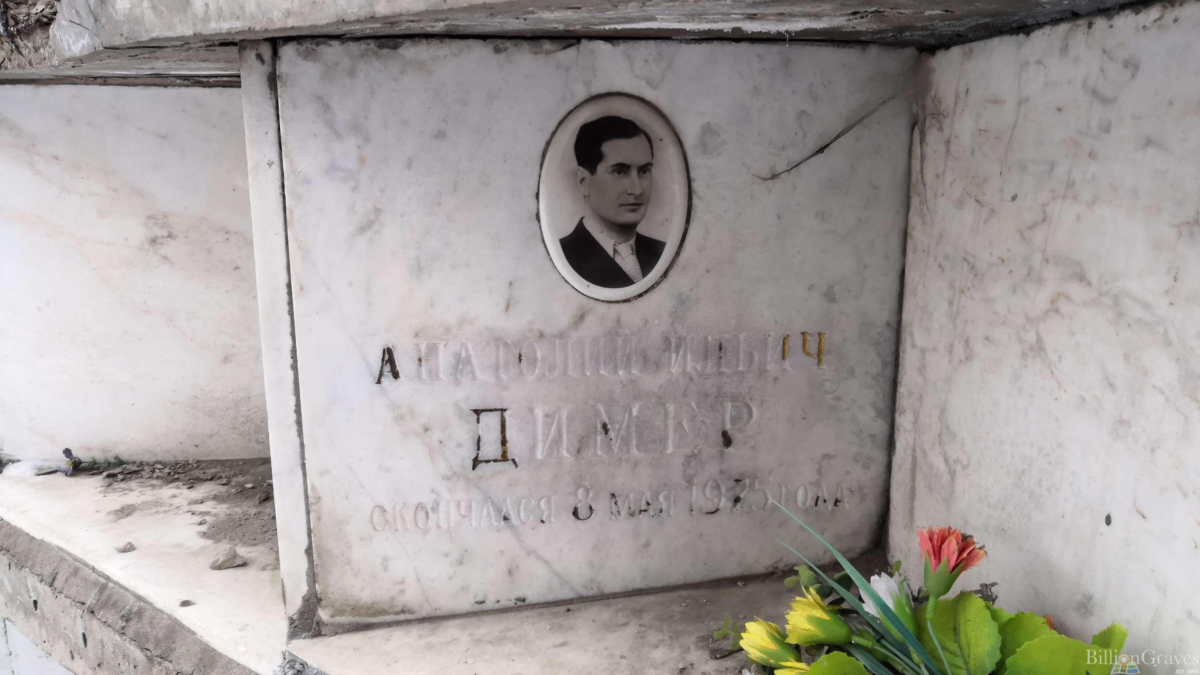 Димер Анатолий Ильич