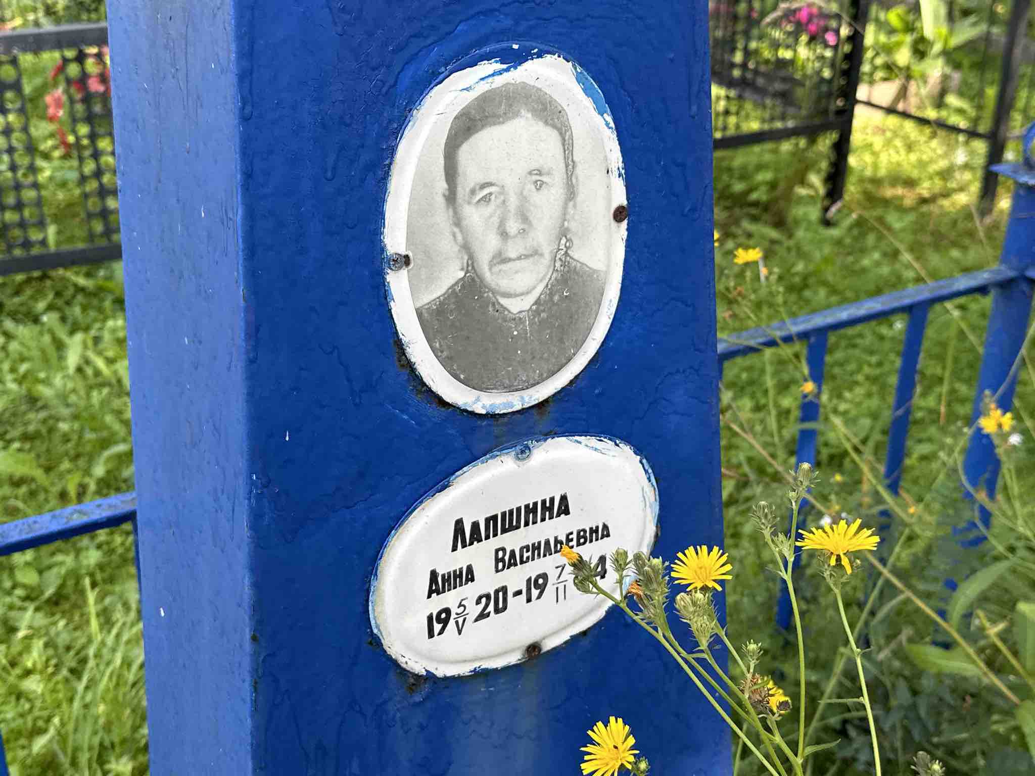 Лапшина Анна Васильевна