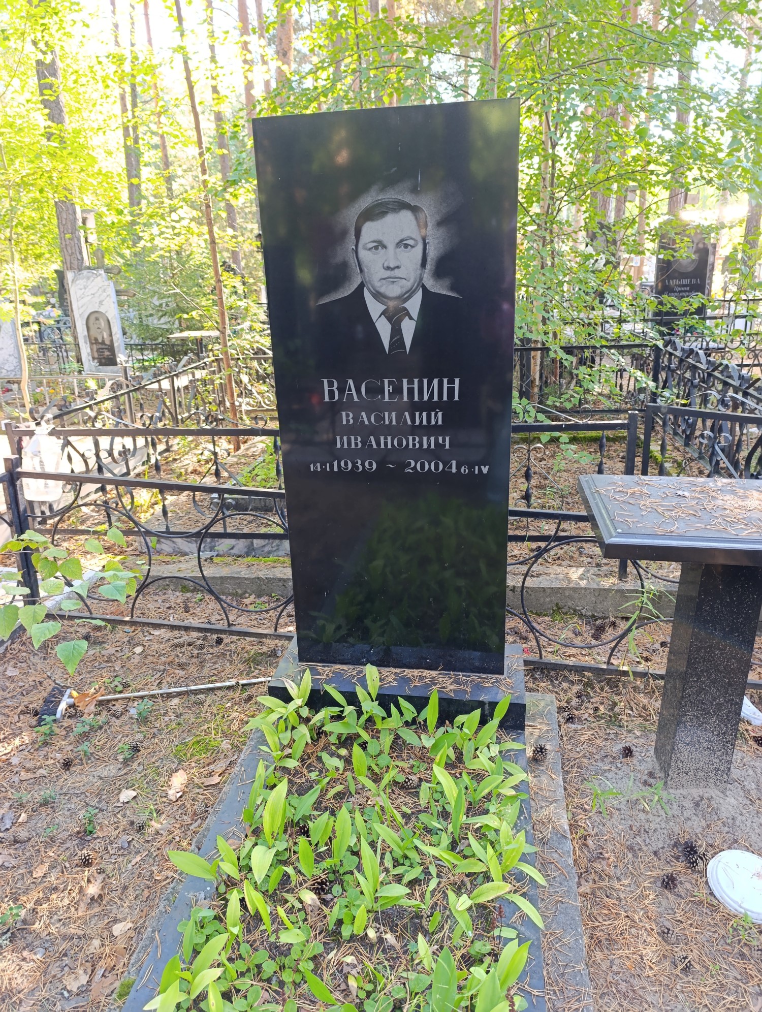Васенин Василий Иванович