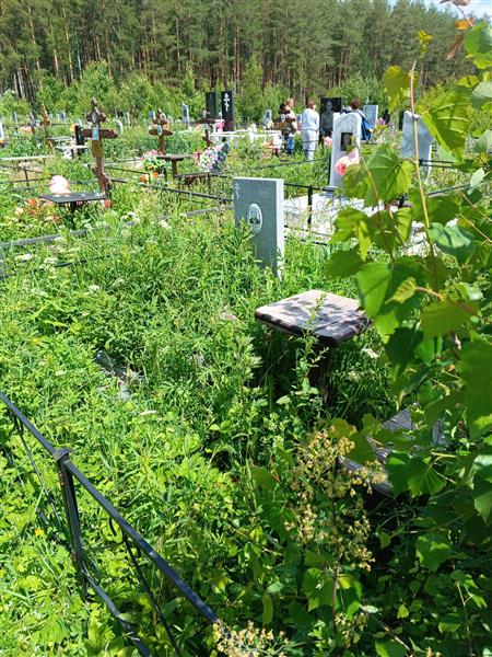Меркурьева Анастасия Яковлевна