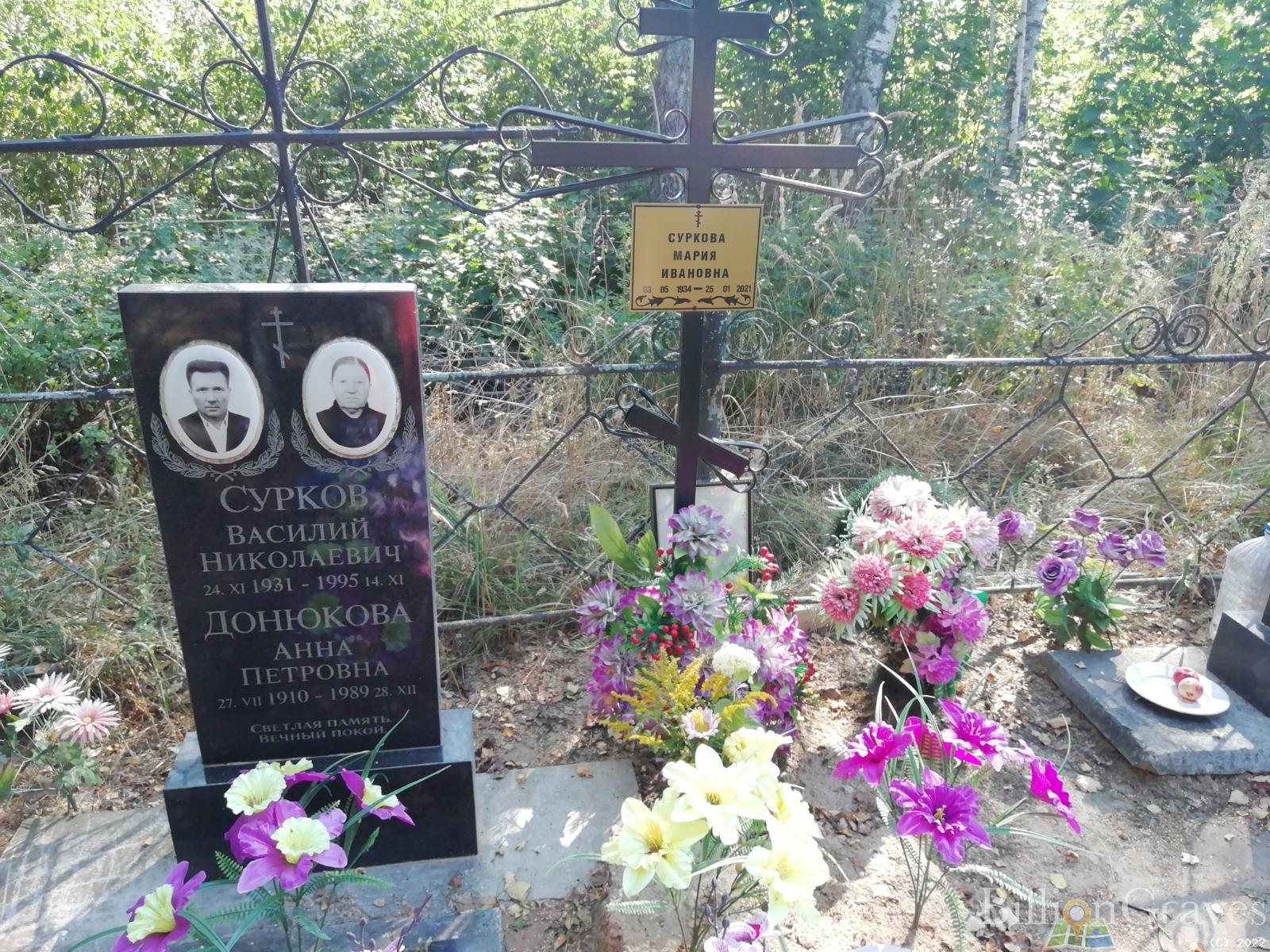 Сурков Василий Николаевич