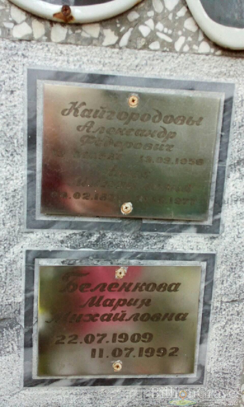 Кайгородов Александр Фёдорович