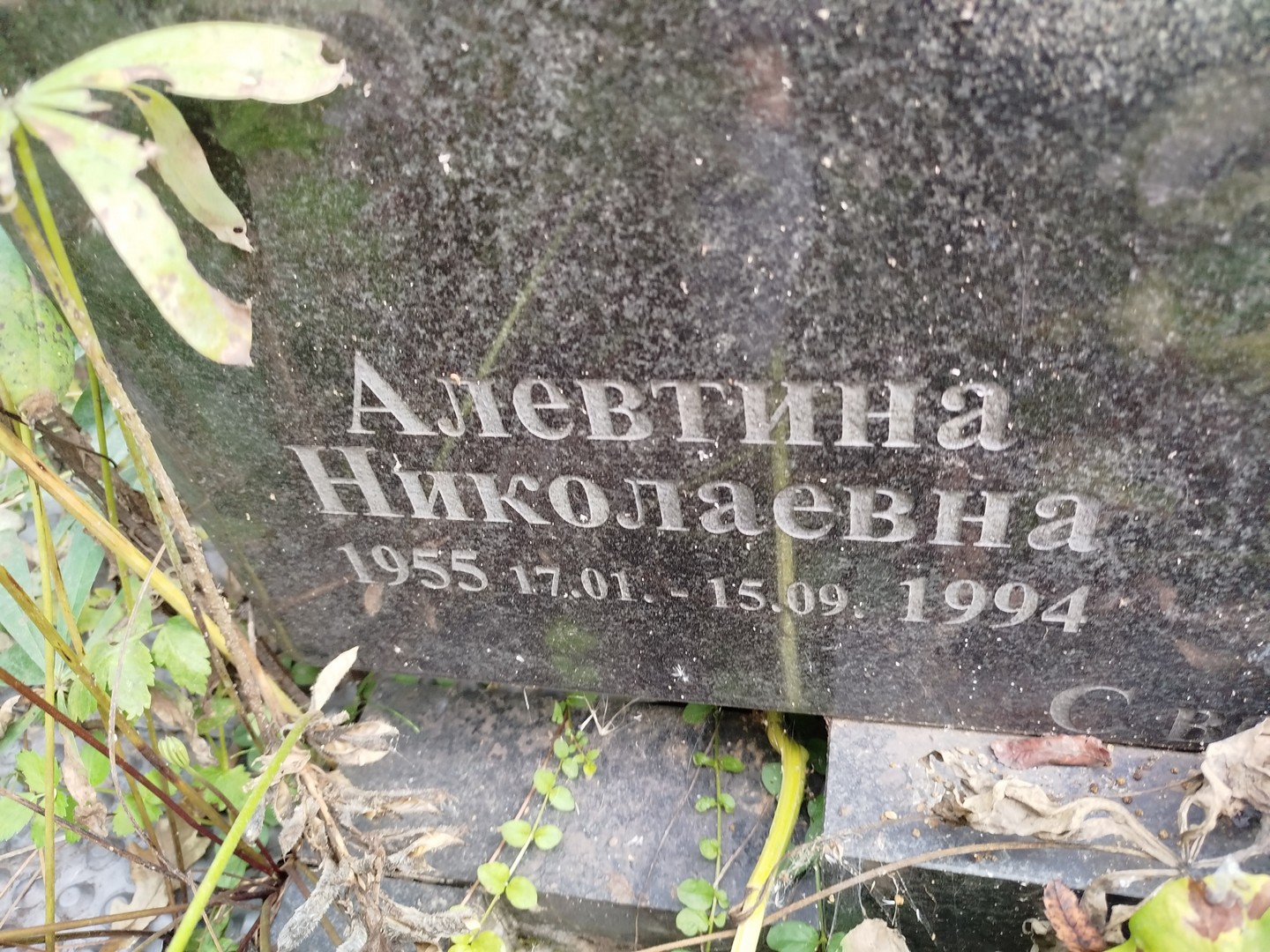 Алевтина Ефимова Николаевна
