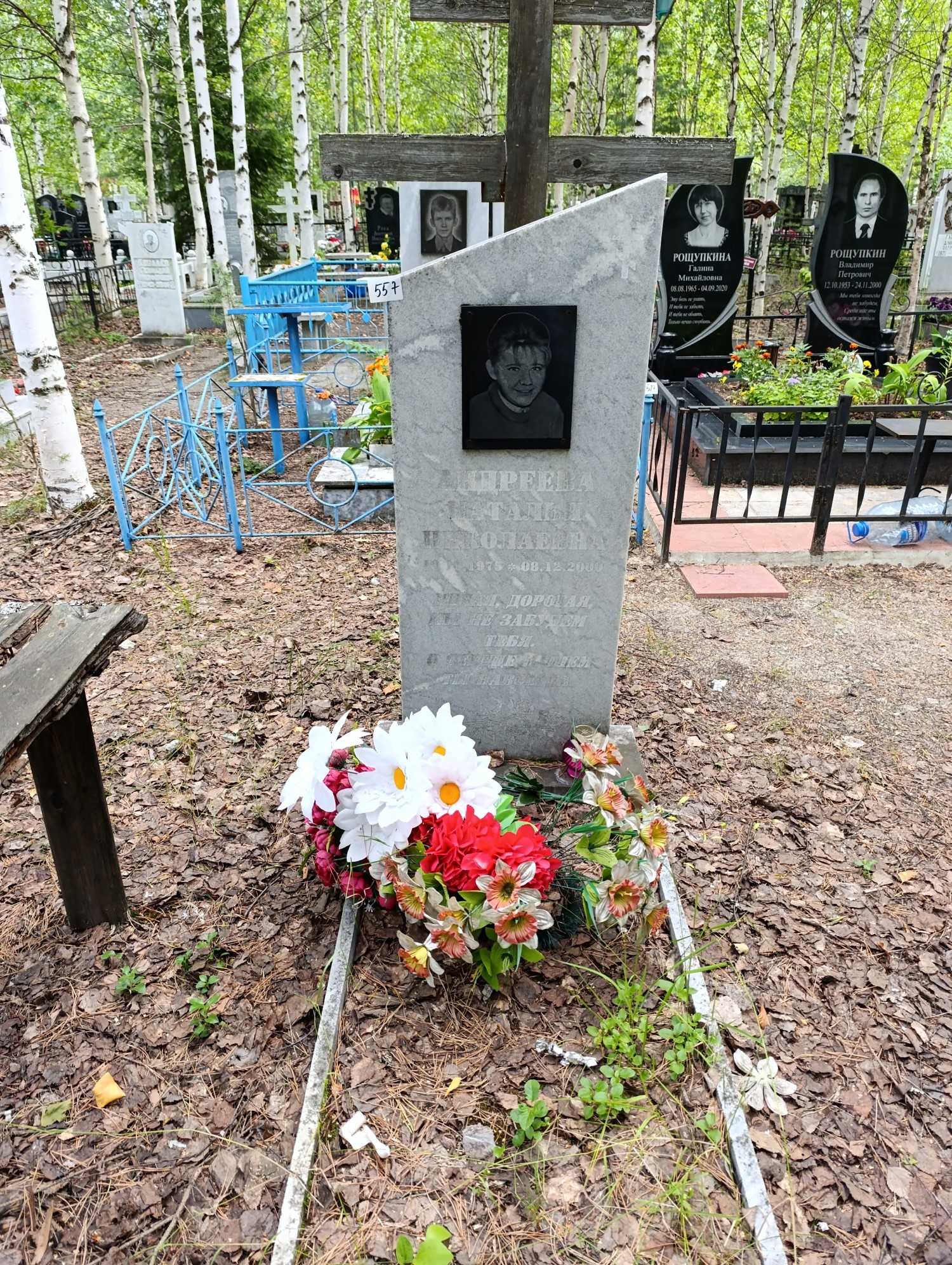 Андреева Наталья Николаевна