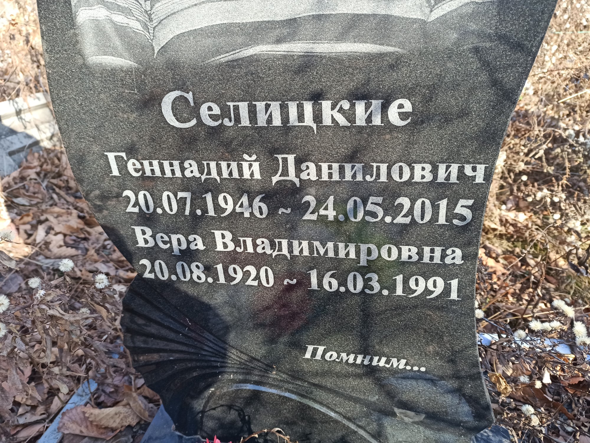 Селицкая Вера Владимировна