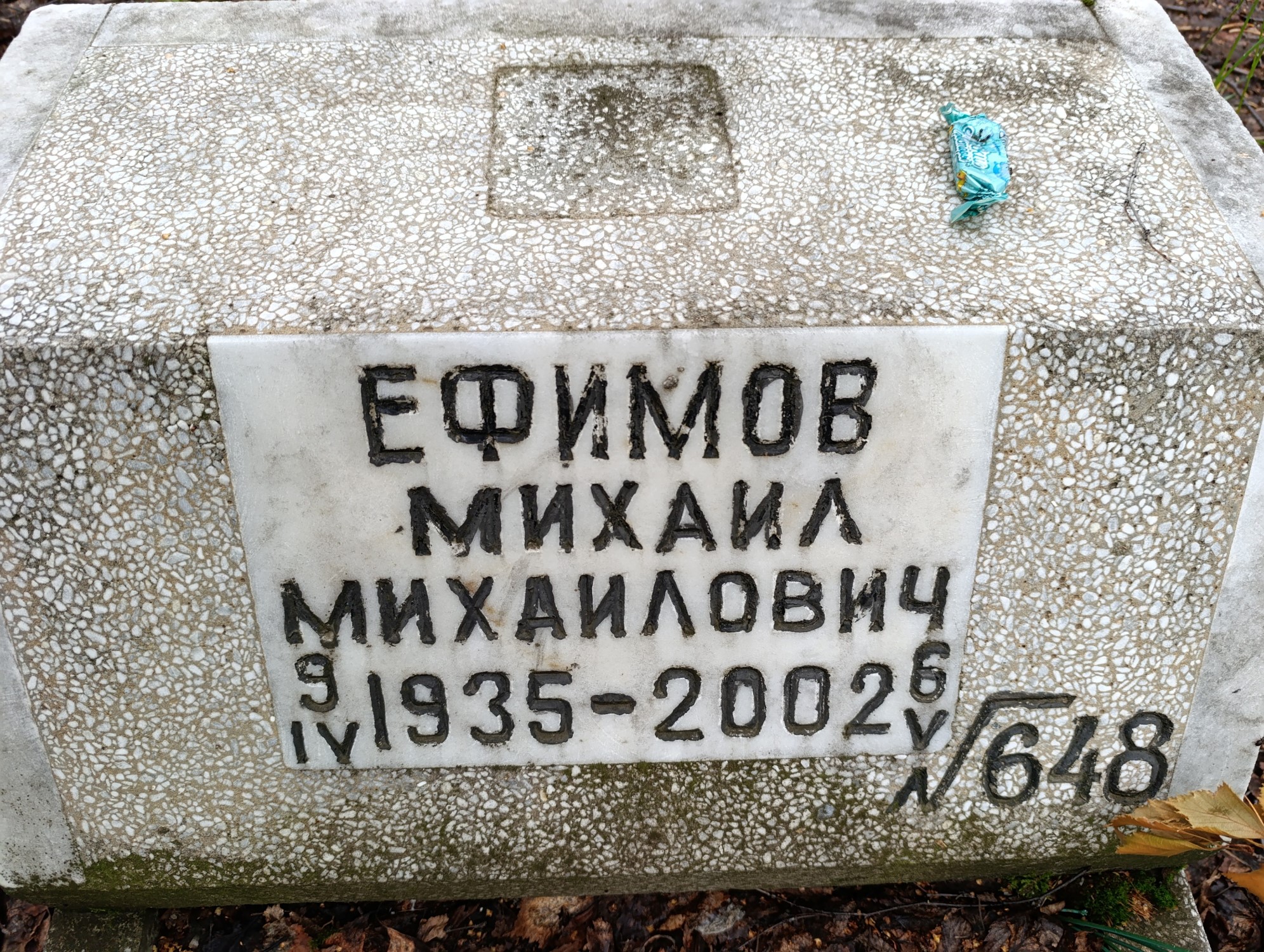 Ефимов Михаил Михайлович