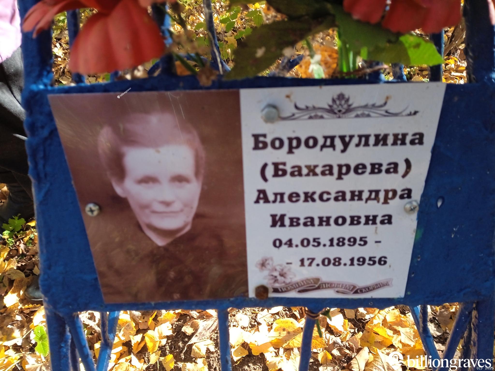 Бородулина (Бахарева) Александра Ивановна