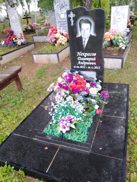 Некрасов Дмитрий Андреевич
