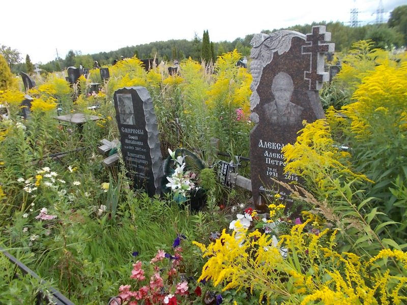 Александров Александр Петрович