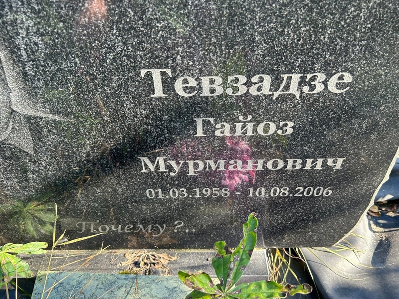 Гайоз Тевзадзе Мурманович