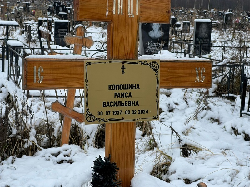 Копошина