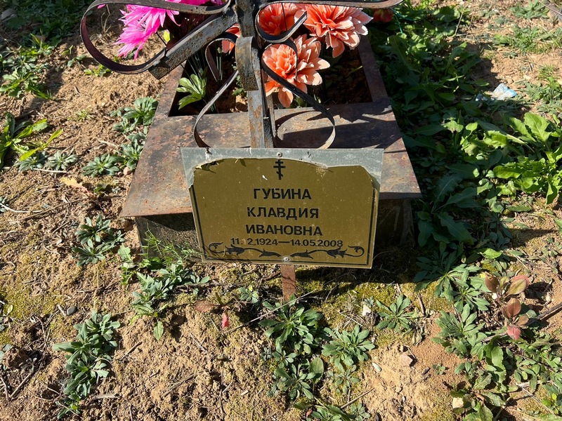 Губина