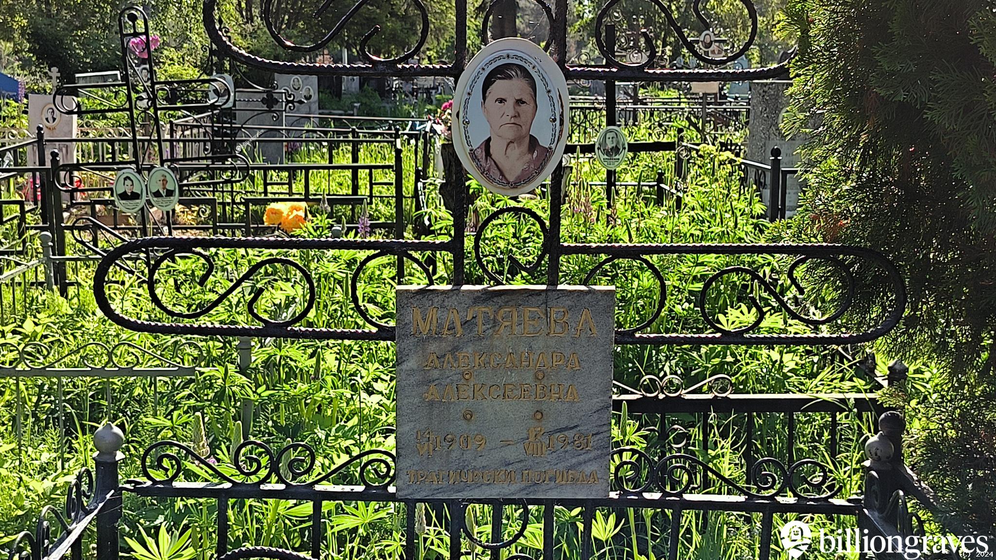 Матяева Александра Алексеевна