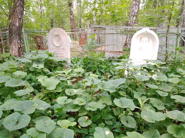 Мухаметова Нурзиган Садыковна