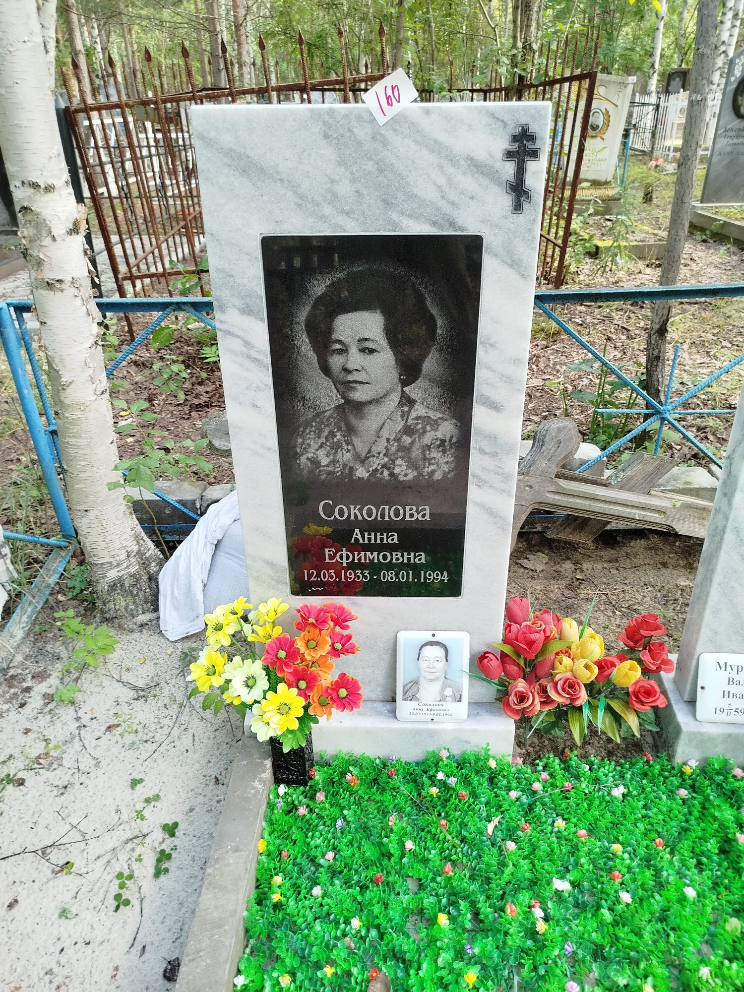 Соколова Анна Ефимовна