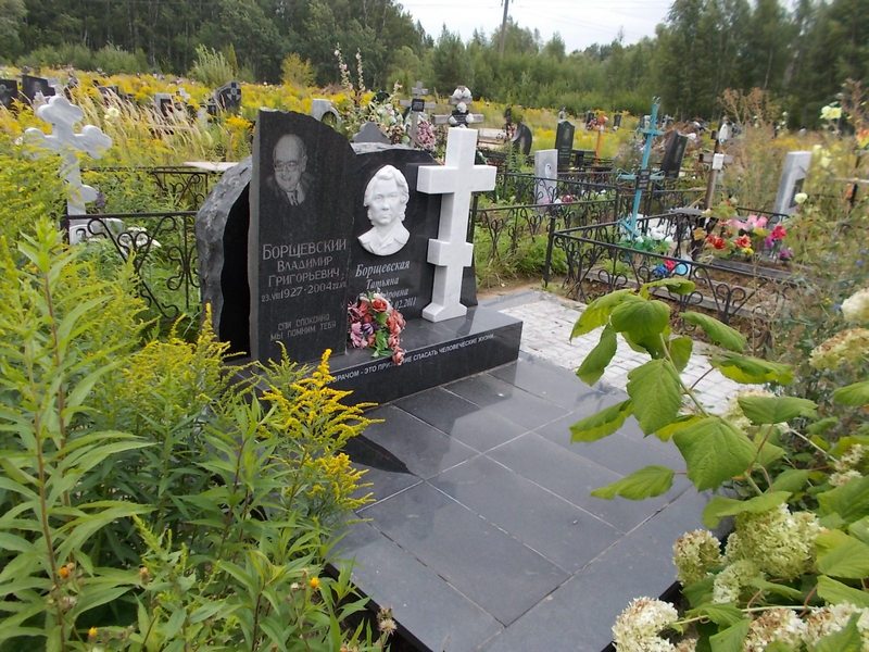 Борщевский Владимир Григорьевич